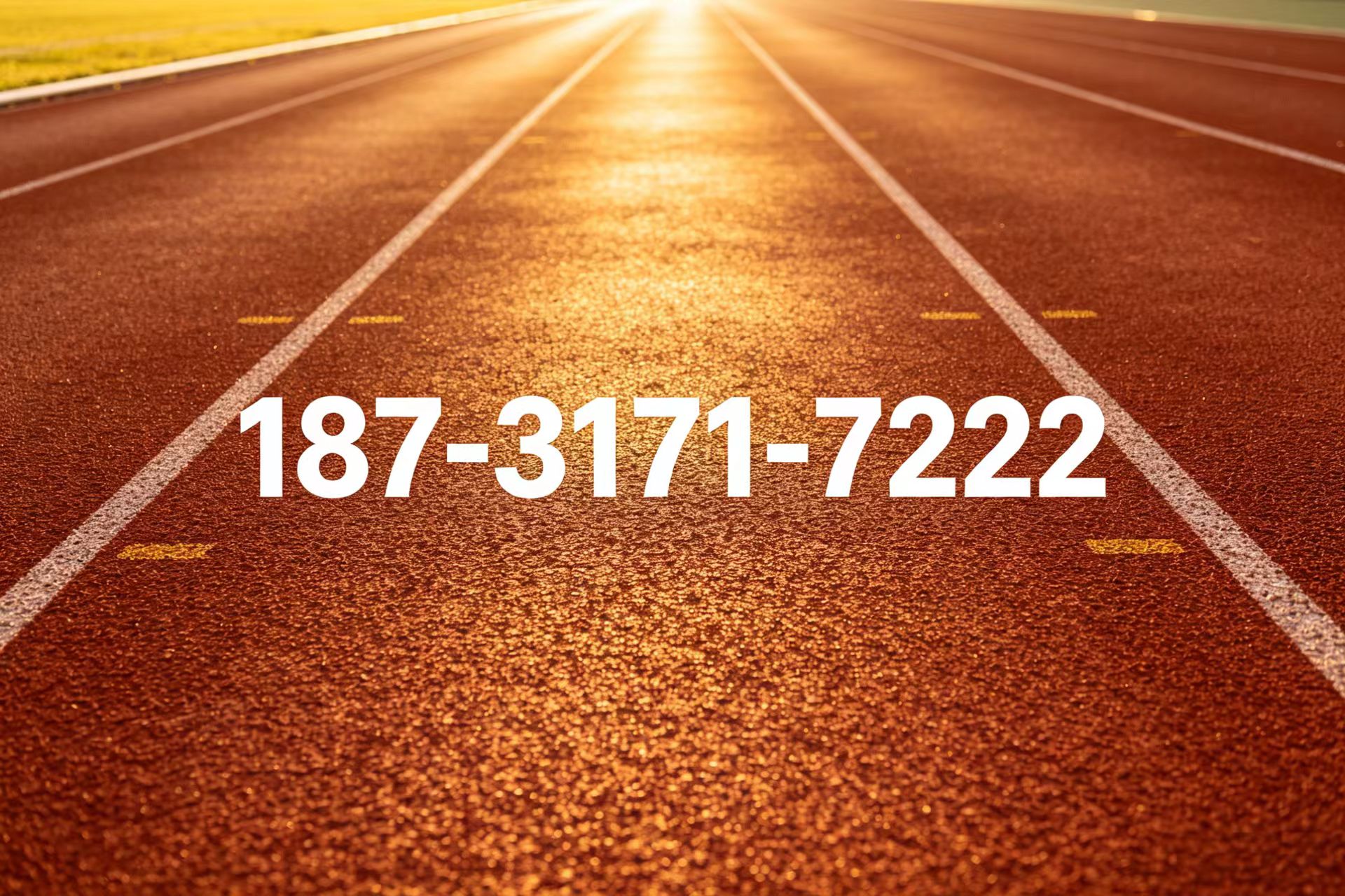 首页 - 价格
